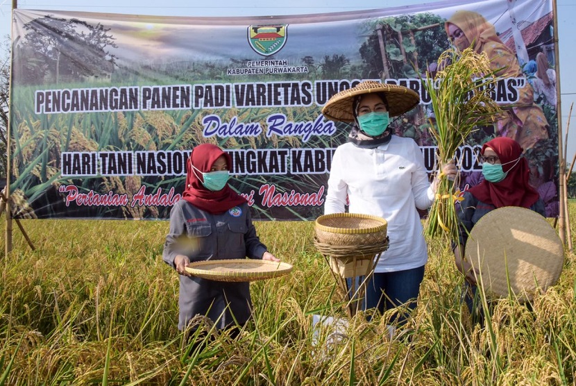 Kabupaten Purwakarta yang dipimpin Bupati Anne Ratna Mustika itu, diganjar penghargaan sebagai kabupaten terbaik dalam persentase peningkatan luas tanam padi.