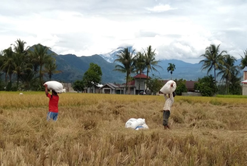  Kabupaten Semarang sebagai salah satu lumbung padi di Provinsi Jawa Tengah terus melakukan kegiatan panen padi dengan puncak panen pada bulan April hingga Mei 2020. 