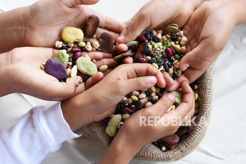 Kacang-kacangan. Selain daging dan susu, ternyata kacang-kacangan juga dapat menjadi sumber protein yang lebih terjangkau bagi masyarakat.