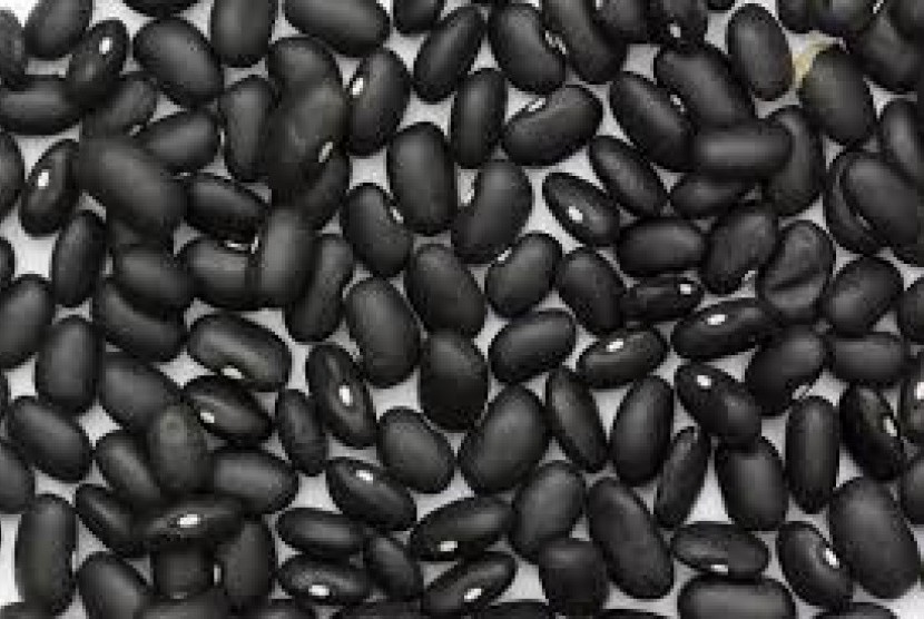 Kacang kedelai hitam