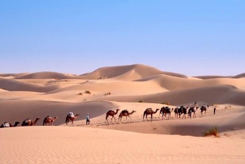 Kafilah haji berjalan di tengah padang pasir ke Makkah.