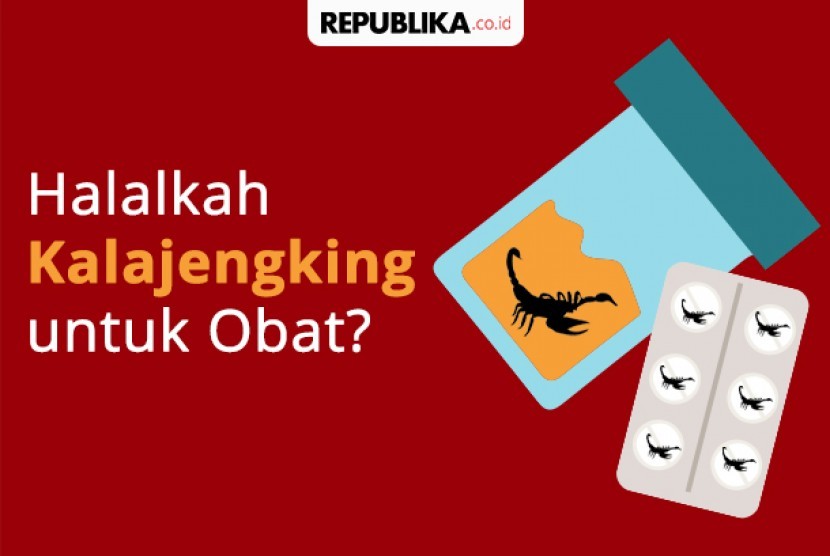 Kalajengking untuk obat