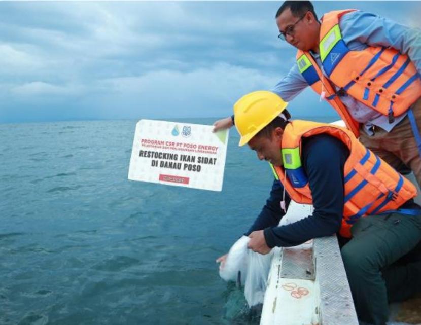 KALLA Group melakukan restocking ikan sidat di Danau Poso, Sulawesi Tengah.