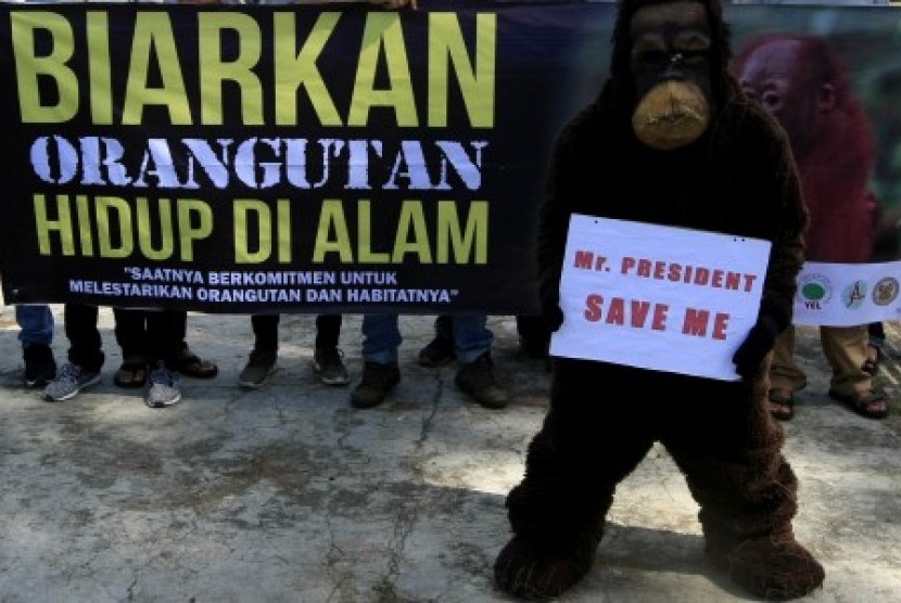 Kampanye selamatkan orangutan. (Ilustrasi) 
