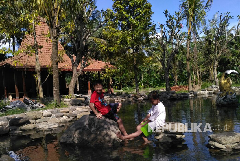 Kampung Flory, Homestay Desa Wisata Tanaman Hias dengan Kolam Terapi Ikan. 