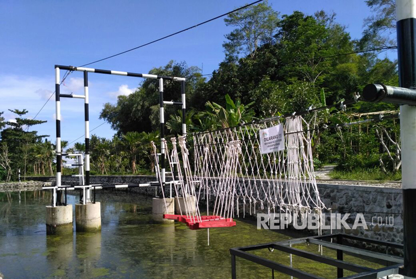 Kampung Flory, Homestay Desa Wisata Tanaman Hias dengan Kolam Terapi Ikan. 