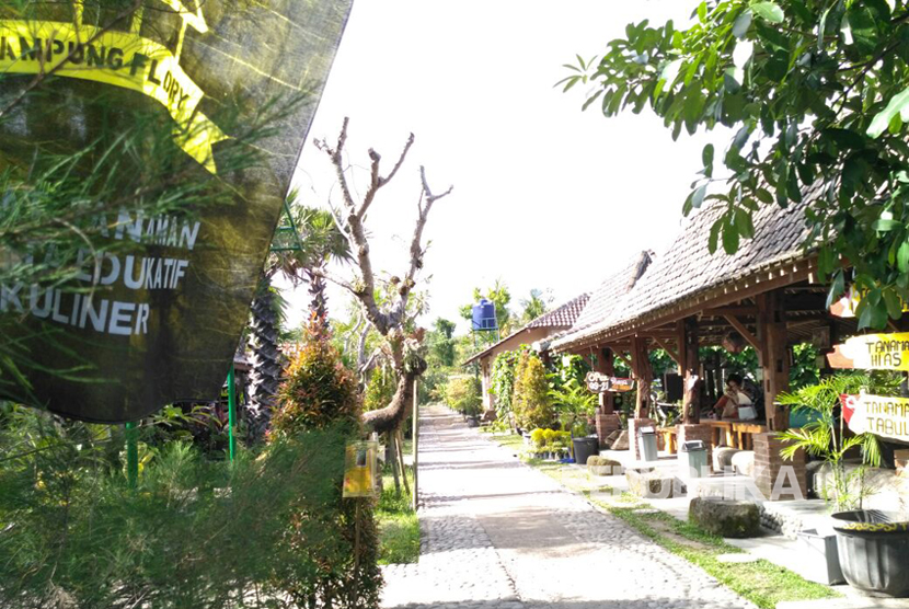 Kampung Flory, Homestay Desa Wisata Tanaman Hias dengan Kolam Terapi Ikan. 