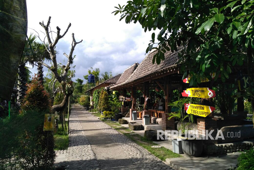 Dusun rizqi homestay Bukit Pili