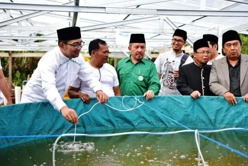 Kandidat Gubernur Jabar Ridwan Kamil mengaku takjub melihat potensi budi daya ikan lele yang dikembangkan oleh Pondok Pesantren Al Masthuriyah, Kabupaten Sukabumi