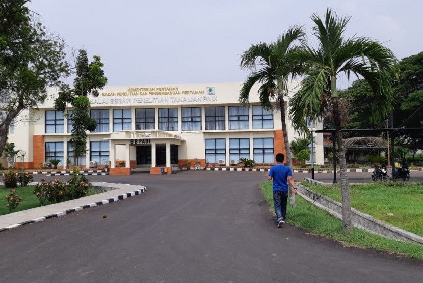 Kantor Balai Besar Penelitian Tanaman Padi (BB Padi) di Jl Raya Sukamandi, Kabupaten Subang, Sabtu (8/12).