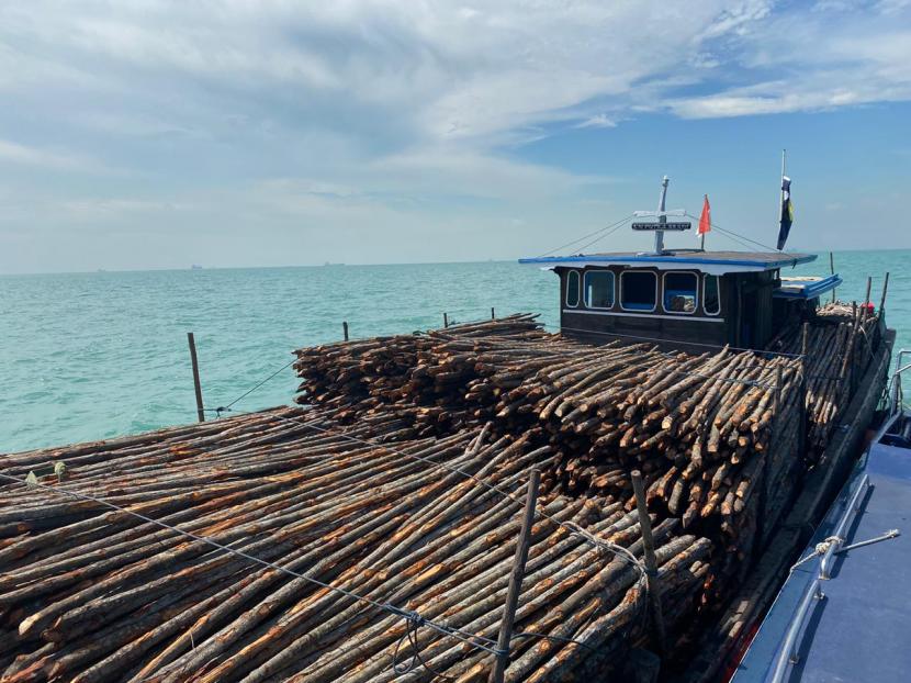 Kantor Wilayah Bea Cukai Khusus Kepulauan Riau berhasil menegah kapal KM Putra Abadi yang kedapatan mengangkut kayu teki yang merupakan barang dalam kategori larangan dan pembatasan.  Penindakan dilakukan pada Jumat (03/04) di perairan pulau Labon Kecil