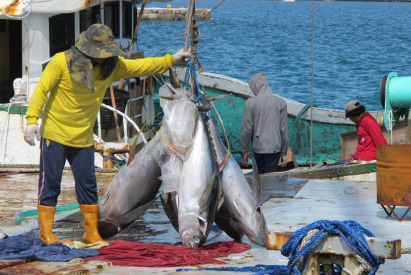 Kapal penangkap tuna di pelabuhan Koror di Palau di kawasan Pasifik. 