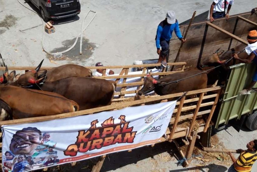 Kapal Qurban ACT mengangkut ratusan sapi dari Sumbawa ke Jakarta.