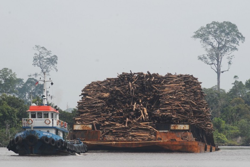  Kapal tongkang pengangkut kayu Hutan Taman Industri (HTI) melintasi sungai Siak di Perawang, Kabupaten Siak, Riau.
