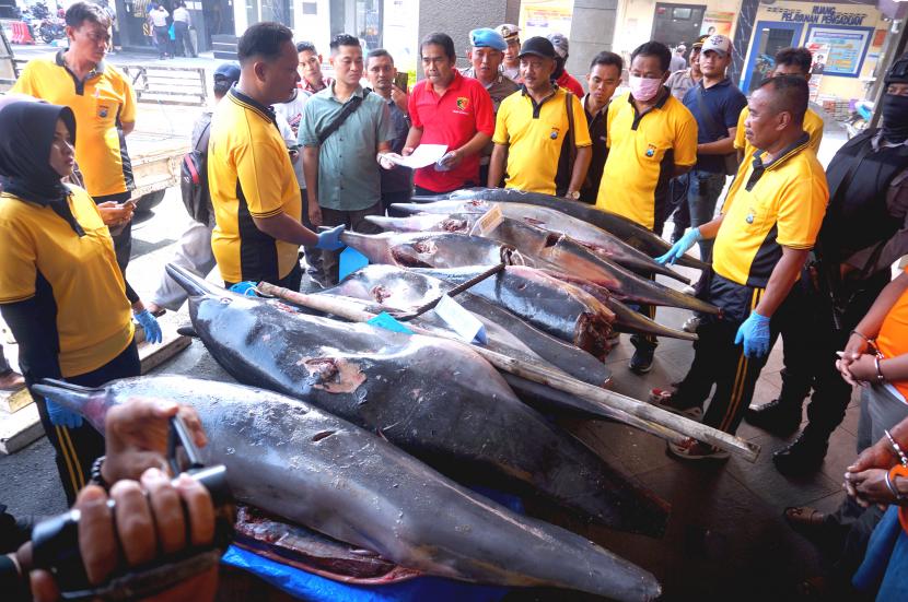 Kapolres Tulungagung AKBP Eva Guna Pandia (ketiga kiri) menununjukkan barang bukti perniagaan sembilan ekor satwa dilindungi jenis Lumba-lumba moncong panjang (delphinus capensis atau stenella longirostris) di Tulungagung, Jawa Timur. (Ilustrasi)