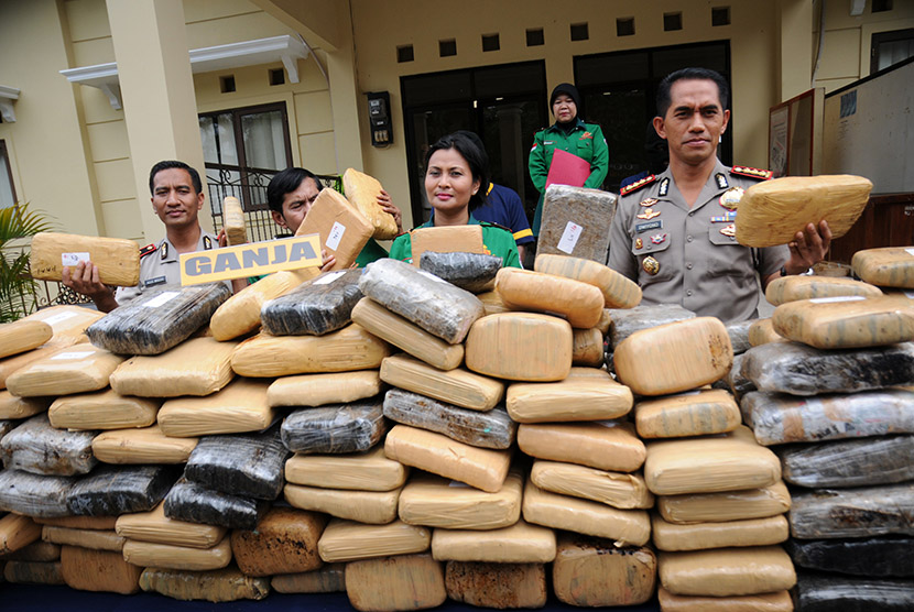 Kapolresta Depok Kombes (Pol) Dwiyono (kanan) bersama Kasat Narkoba Kompol Vivick Tjangkung (kedua kanan) menunjukkan barang bukti ratusan bal ganja kering berikut tersangka saat gelar perkara di Mapolresta Depok, Jawa Barat, Kamis (19/11).