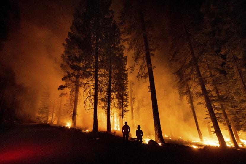 Kebakaran hutan terjadi di dua kota di Colorado, Amerika Serikat dan membuat ribuan orang dievakuasi. Ilustrasi.