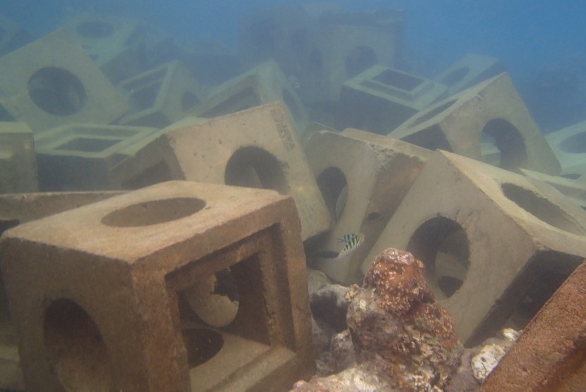 Karang di Pulau Tidung, Kecamatan Kepulauan Seribu Selatan, rusak total karena pemasanga blok break water yang asal-asalan.