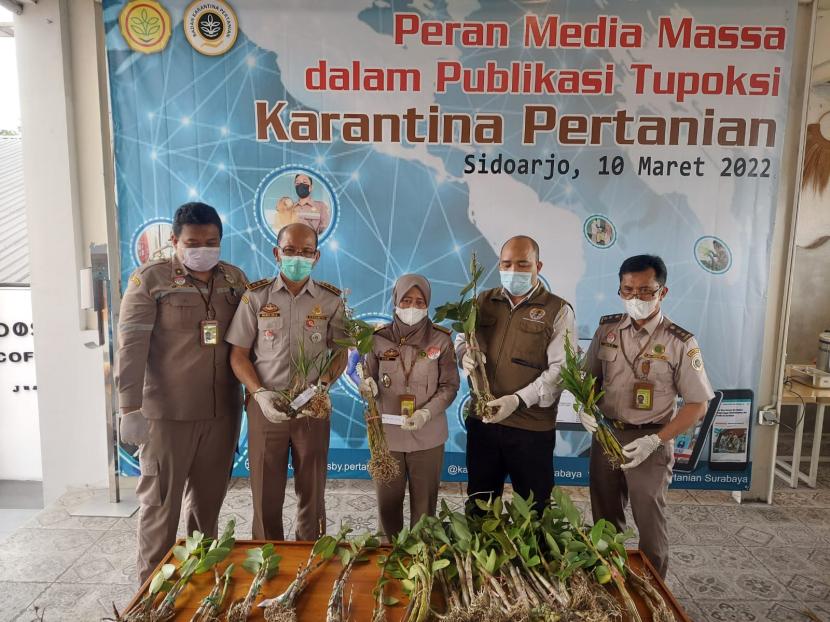Karantina Pertanian Surabaya melakukan penahanan 685 batang bibit anggrek asal Merauke yang tiba di Bandara Juanda, Surabaya pada Rabu (9/3). 