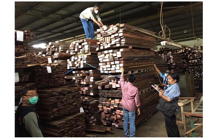 Kasus kayu merbau ilegal dari Kepulauan Aru dan barang bukti 4.832 batang kayu merbau.