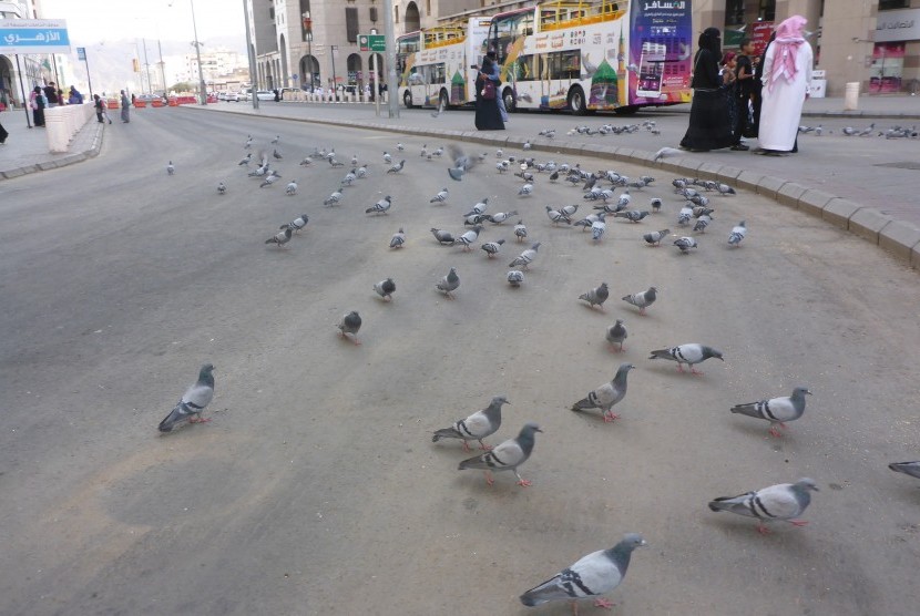 Kawanan Merpati di Jam Gadang Masjid Nabawi | Republika Online Mobile