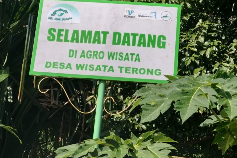 Kawasan agrobisnis durian di Belitung