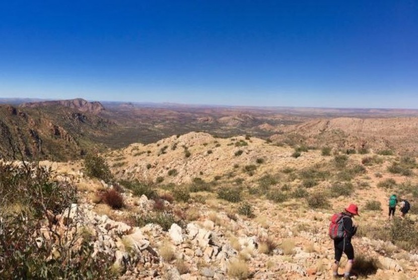 Kawasan hiking The Larapinta Trail di Australia Tengah.