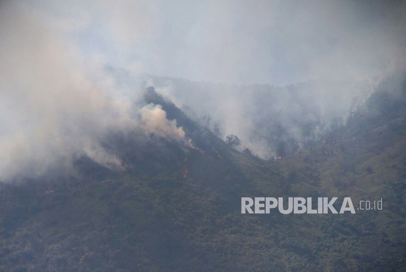 Kawasan hutan Gunung Talang, Solok, Sumatra Barat terbakar pada Kamis (1/2). 