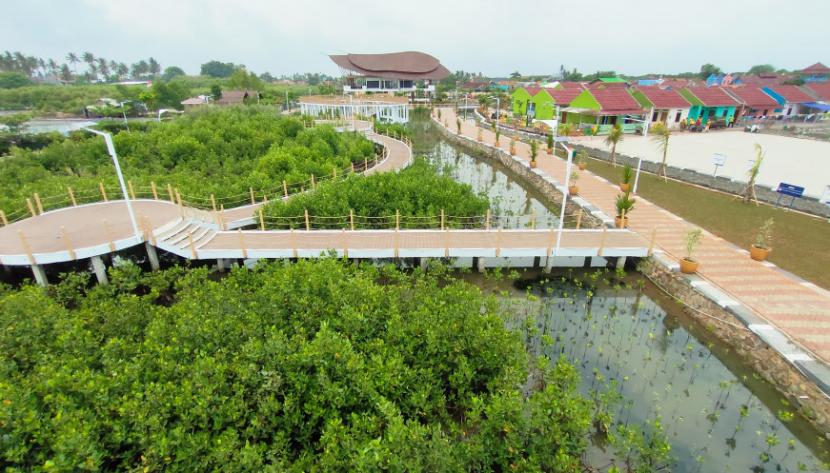 Kawasan Hutan Mangrove Desa Ketapang, Kecamatan Mauk, Kabupaten Tangerang. Penghijauan mangrove bermanfaat untuk menjaga lingkungan  