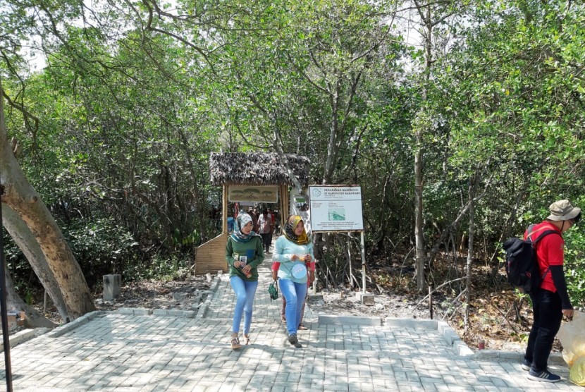 Kawasan hutan mangrove, yang ada di Kampung Tengkolak, Desa Sukakerta, Kecamatan Cilamaya Kulon, Karawang. 