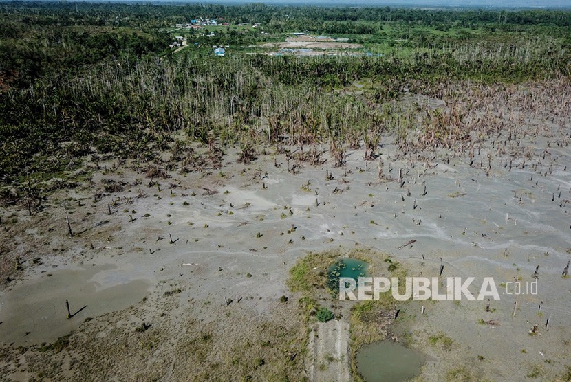 Kawasan kebun sagu yang terkena limbah merkuri di Gunung Botak, Pulau Buru, Maluku, Rabu (28/11/2018). 