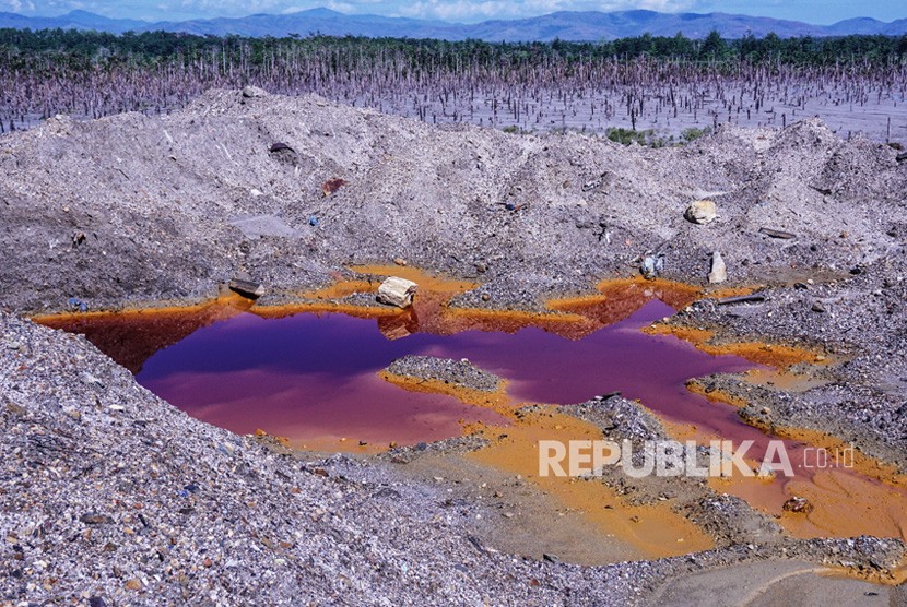 Kawasan kebun sagu yang terkena limbah merkuri di Gunung Botak, Pulau Buru, Maluku, Rabu (28/11/2018). 