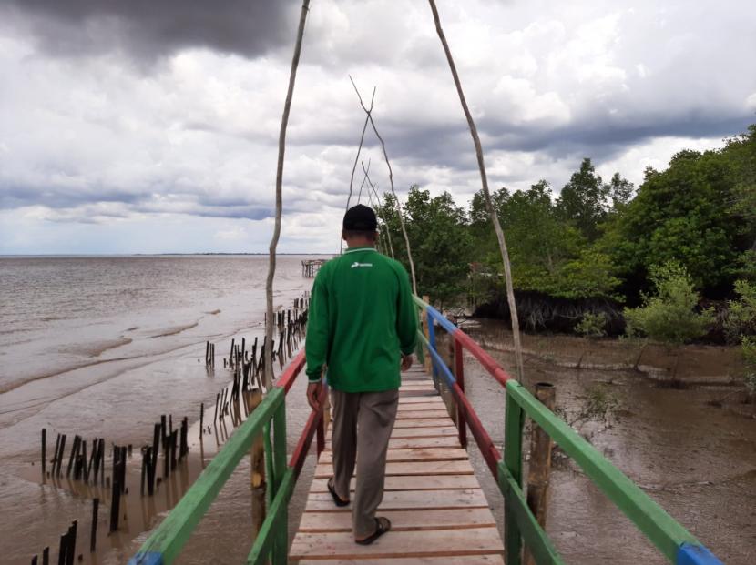 Kawasan konservasi mangrove di Desa Pangkalan Jambi, Bukit Batu, Bengkalis, Riau. Upaya komunitas setempat untuk mengatasi abrasi telah memulihkan sebagian wilayahnya yang terdampak. 
