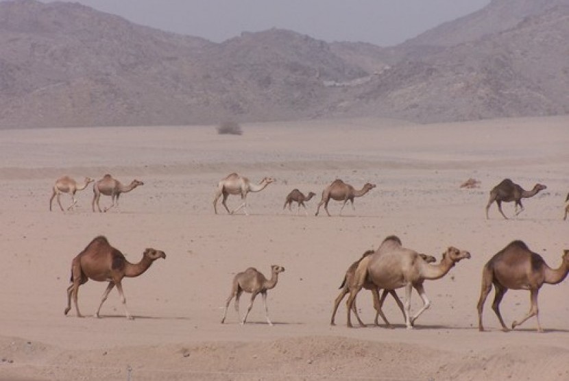 Kawasan Lembah Usfan.