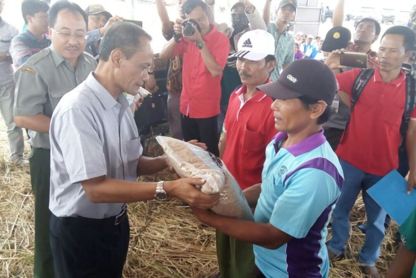 Kawasan Mandiri Pangan Badan Ketahanan Pangan Kementerian Pertanian