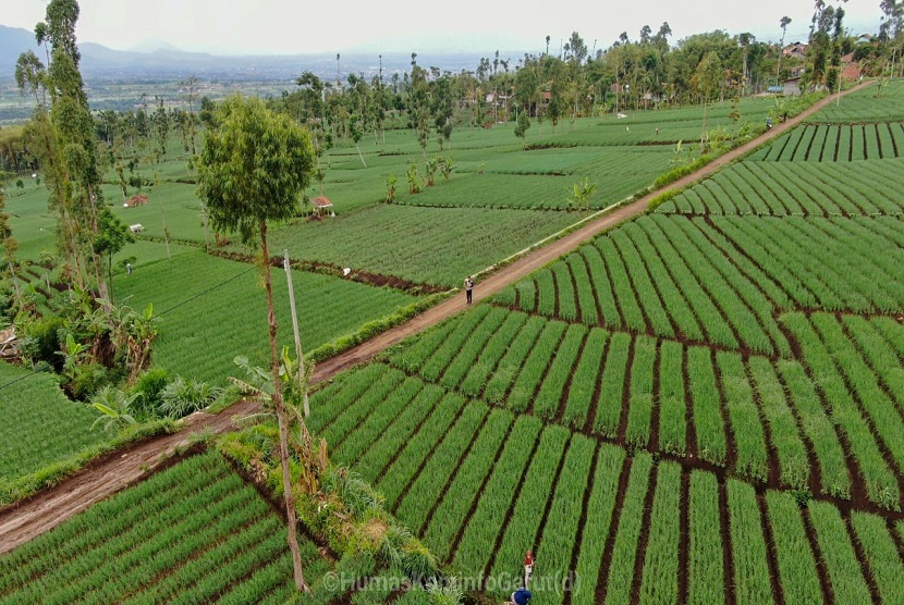 Kawasan pertanian di wilayah Kabupaten Garut.