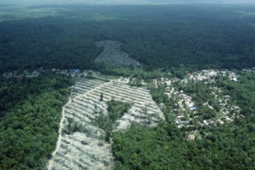 Kawasan Restorasi Hutan Harapan