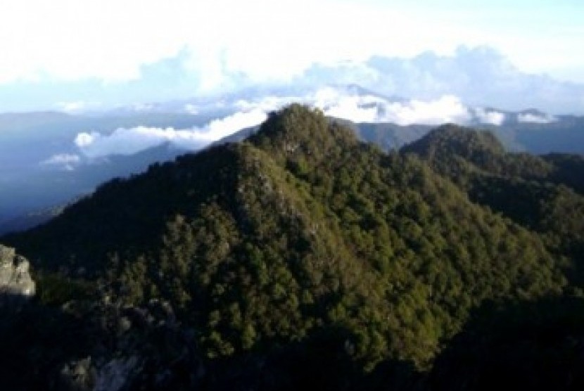 Kawasan Pegunungan Mekongga, Sulawesi Tenggara.