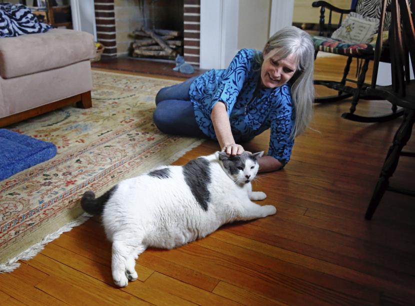 Kay Ford membelai kucingnya, Patches, di rumahnya di Mechanicsville, Virginia, AS, Senin (24/4/2023). Ford mengadopsi kucing seberat 18 kg itu dari Richmond Animal Care and Control.