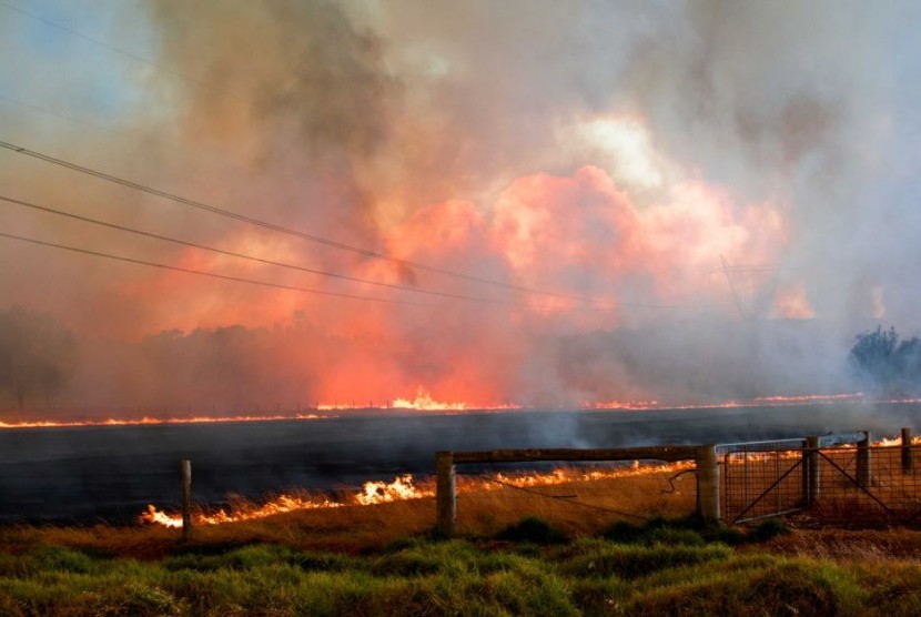 Kebakaran di Australia Barat ini sudah menghanguskan 53 ribu hektare lahan. 