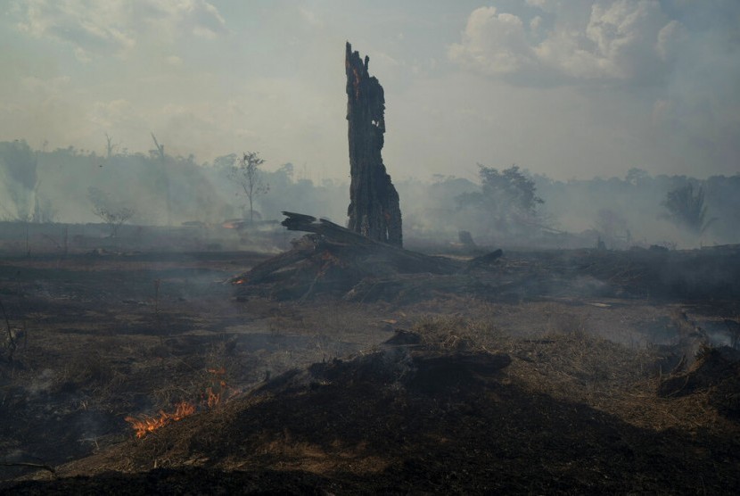 Kebakaran di kawasan hutan hujan Amazon di Altamira, Brasil, Senin (26/8). Lokasi kebakaran sangat dekat dengan lahan milik pribumi Kayapo.