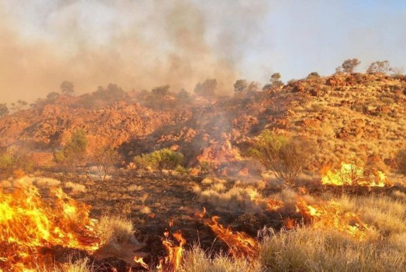 Kebakaran di pedalaman Australia Selatan dimulai pada Kamis (8/2) dan telah membakar padang ilalang dan semak belukar.