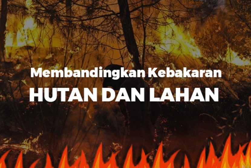 kebakaran hutan