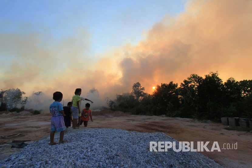 Kebakaran Hutan Dan Lahan Di Riau Meluas | Republika Online