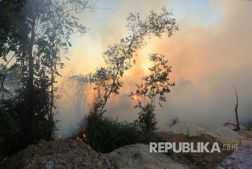 Kebakaran hutan dan lahan akibat musim panas semakin meluas terjadi dan sudah mendekati pemukiman warga di kecamatan Dumai Barat kota Dumai, Dumai, Riau, Selasa (12/2/2019).