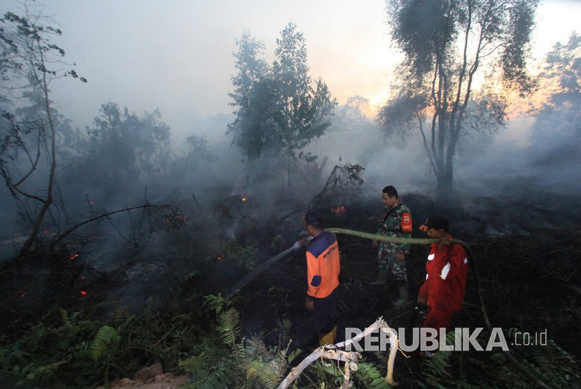 Forest and land fires in West Dumai, Dumai city, Riau Province, Tuesday (Feb 12).