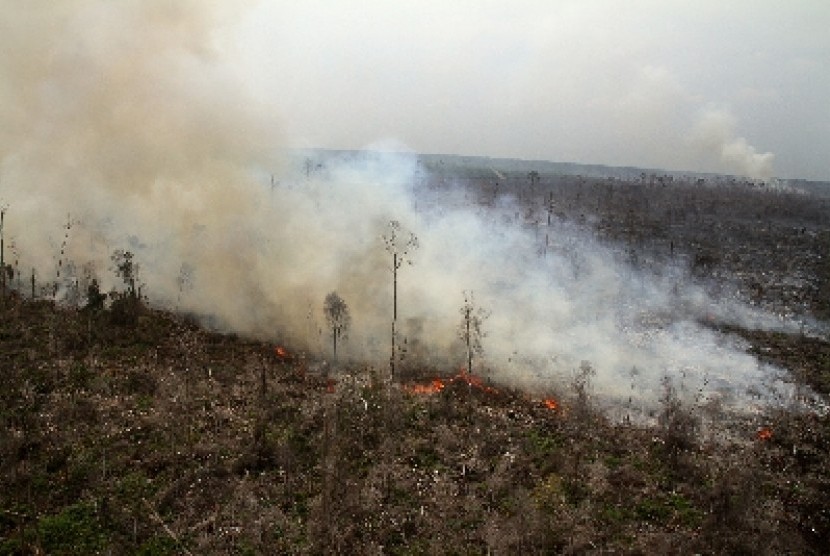 Kebakaran hutan dan lahan di Bengkalis, Riau. 