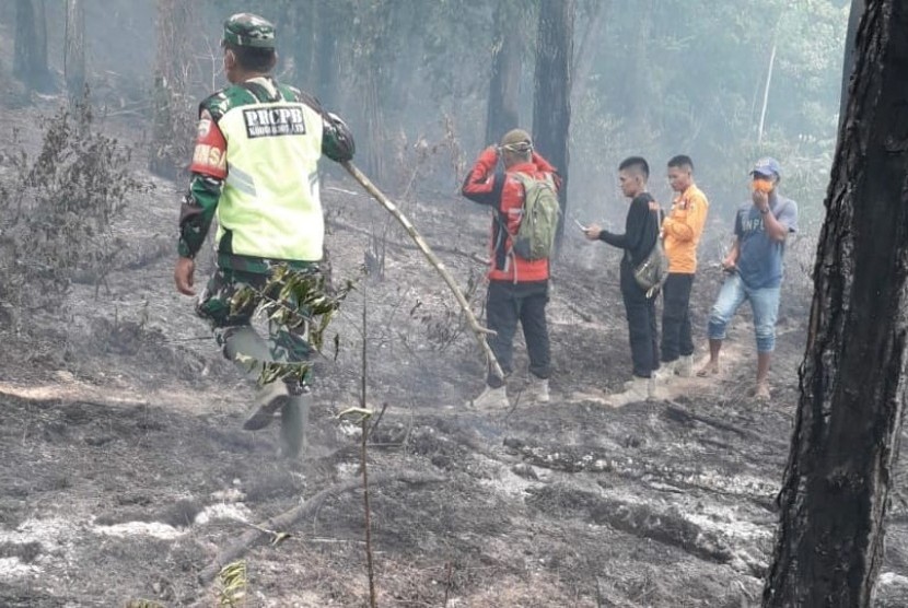 Badan Nasional Penanggulangan Bencana (BNPB) menyampaikan bencana kebakaran hutan dan lahan (karhutla) mulai meningkat frekuensinya seiring dengan berakhirnya musim penghujan.