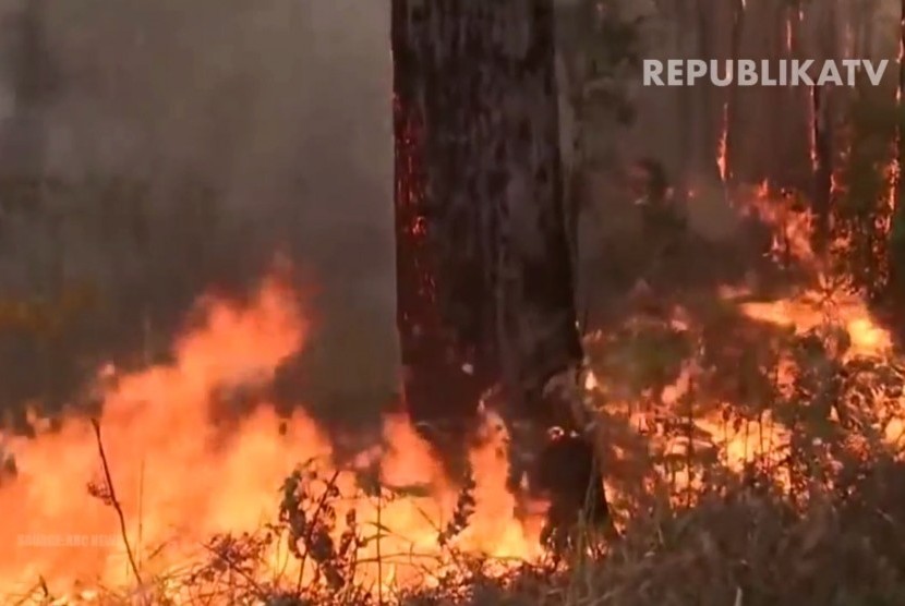 Kebakaran hutan di Australia 
