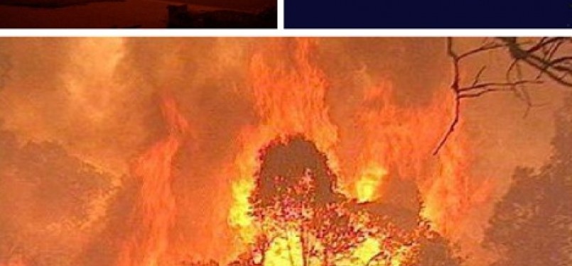 Kebakaran hutan di Australia (ilustras)
